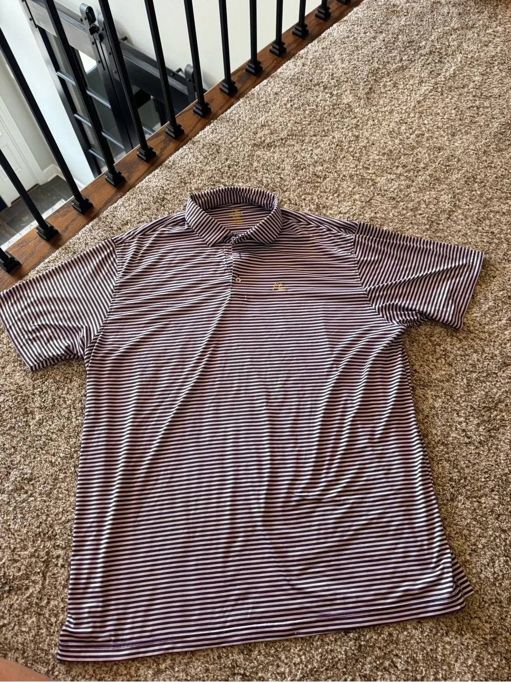 Rhoback Men's Striped Polo Shirt in Purple and White